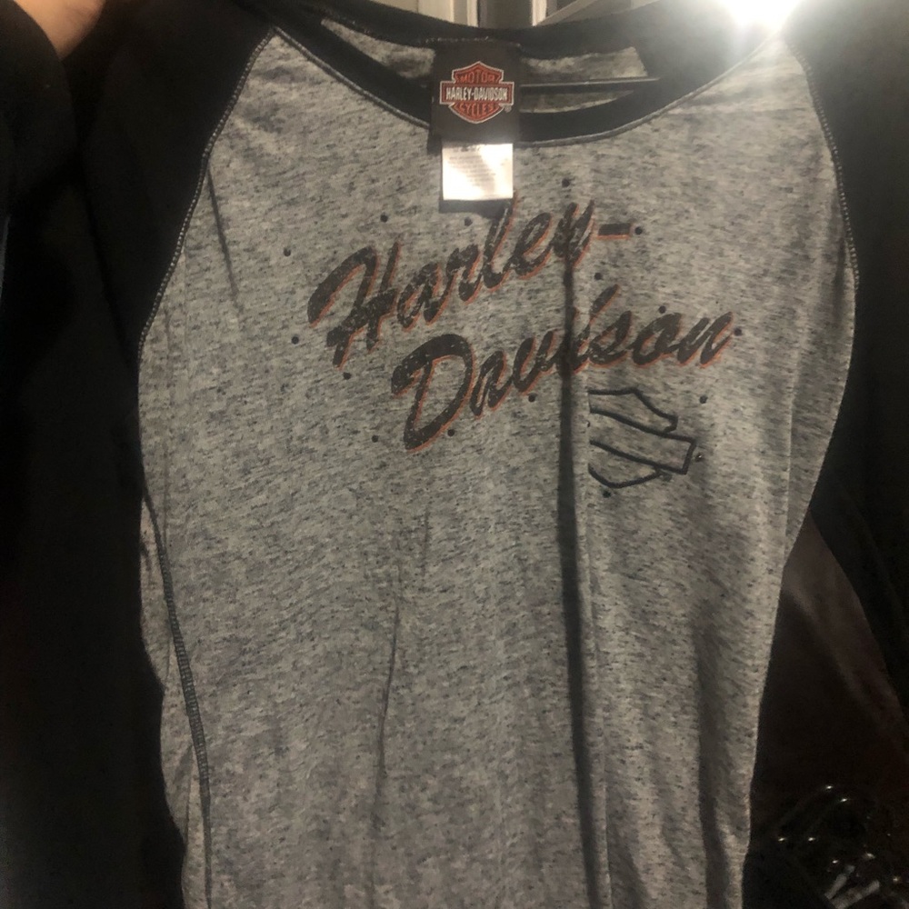 Harley large and xl. Both fit about the same.